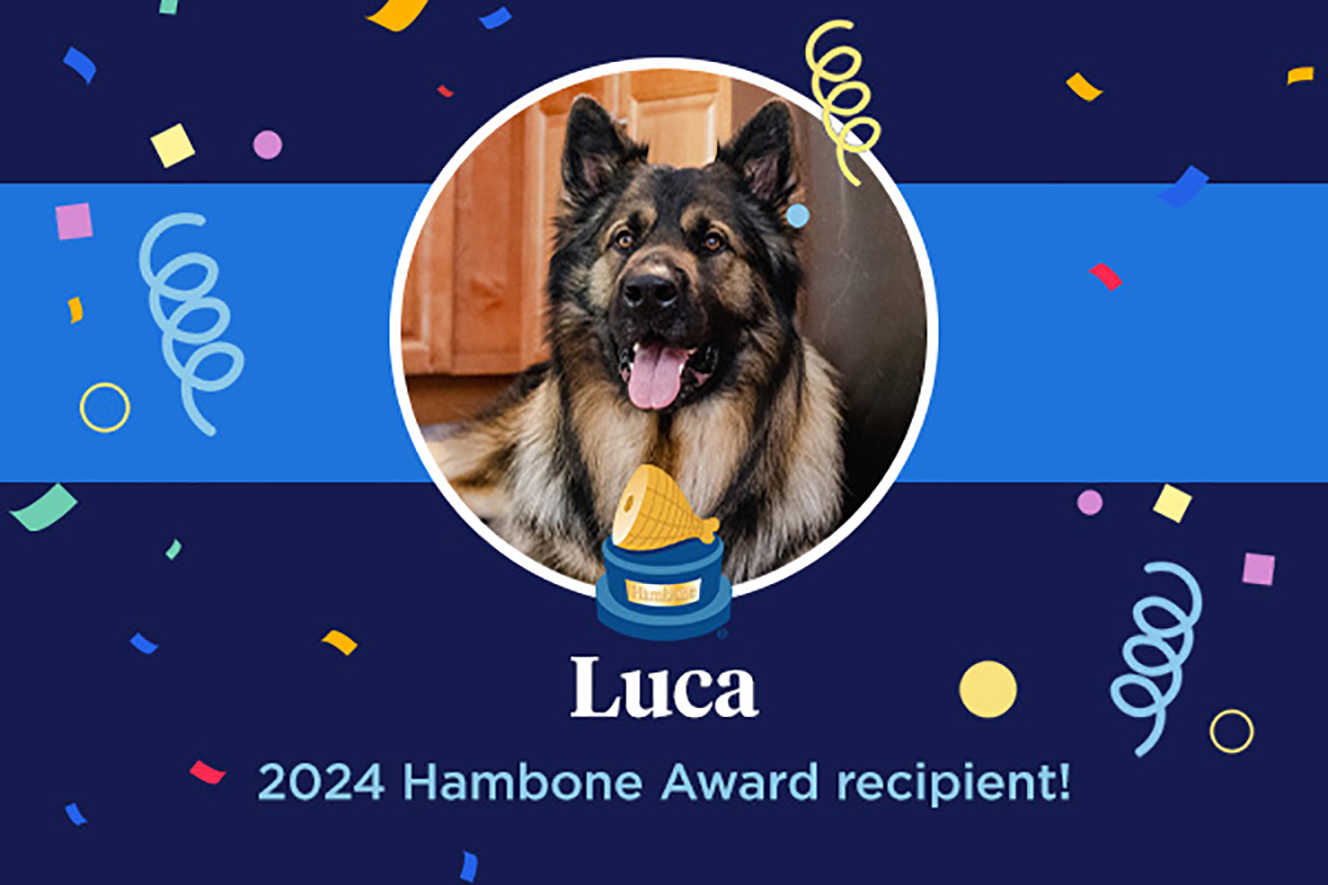 Luca won the 2025 Hambone Award as part of Nationwide Pet Insurance's marketing campaign